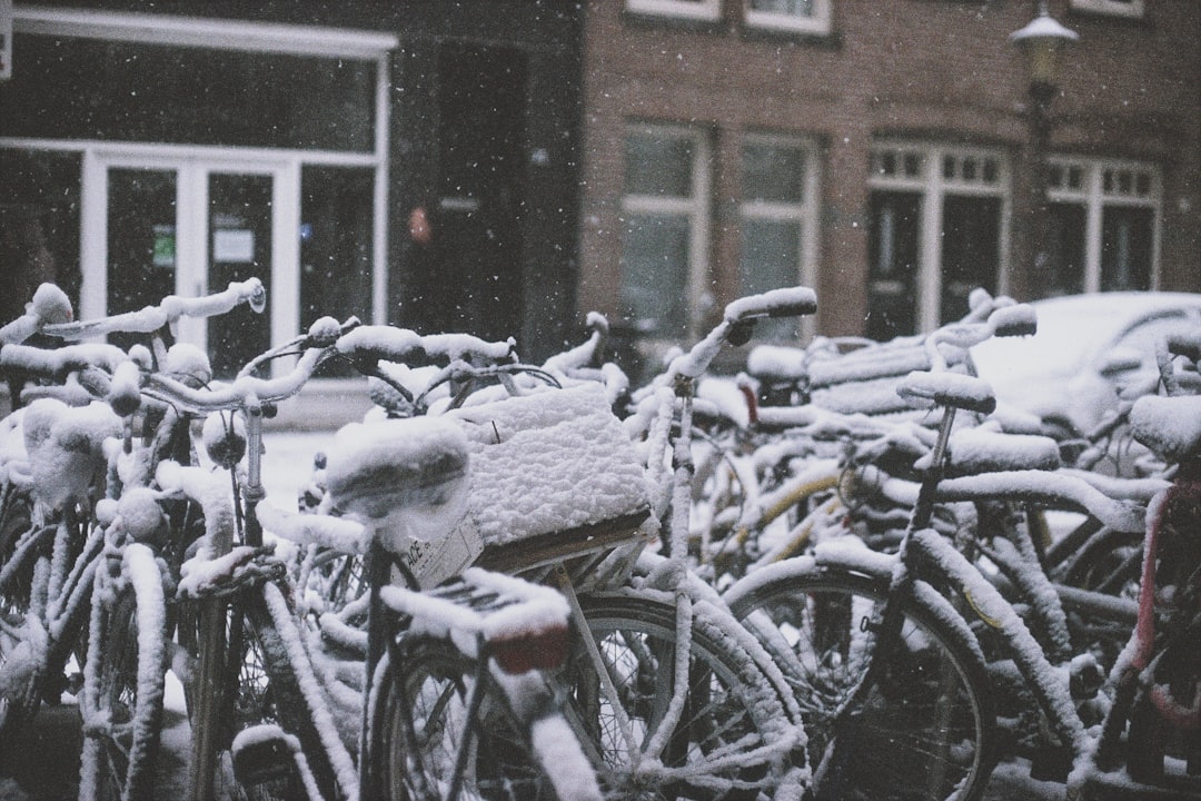 découvrez notre large sélection de vélos adaptés à tous les styles et besoins. que vous soyez un cycliste débutant ou un amateur de sensations fortes, trouvez le vélo parfait pour vos aventures urbaines ou vos escapades en pleine nature.