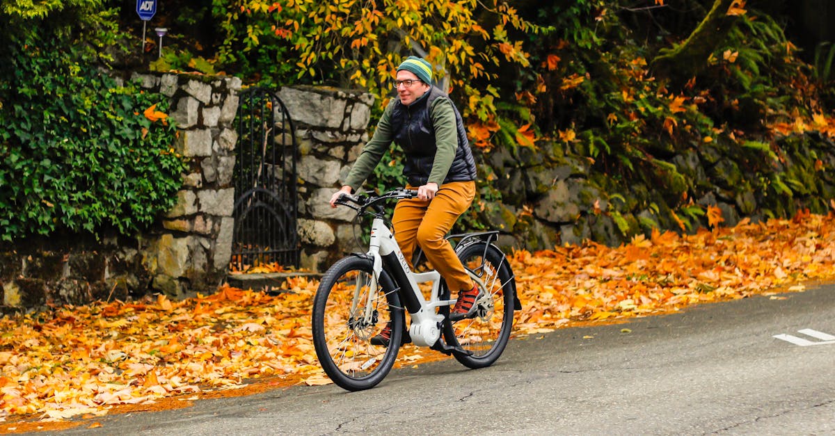 découvrez la législation sur les vélos électriques en france : règles, exigences et conseils pour une utilisation sécurisée et respectueuse de l'environnement.