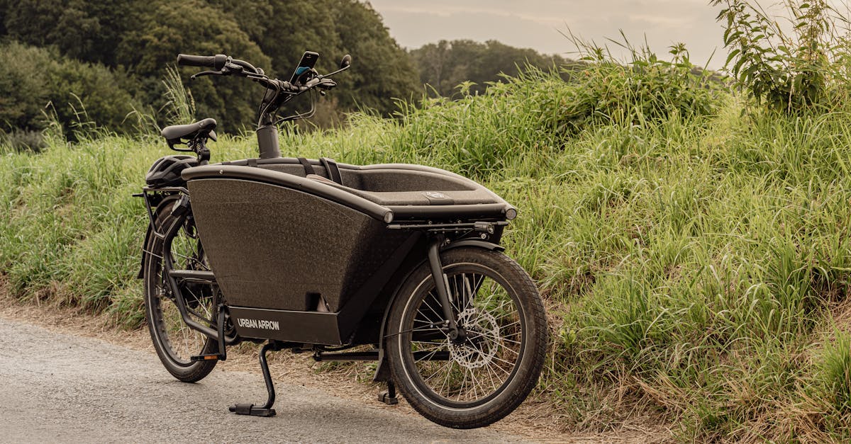 découvrez le plaisir de rouler avec un vélo électrique ! idéal pour les trajets quotidiens, les balades en plein air et les aventures urbaines, un vélo électrique vous offre confort et efficacité. profitez de la puissance d'un moteur électrique et d'une assistance qui rendra vos déplacements plus agréables et accessibles.