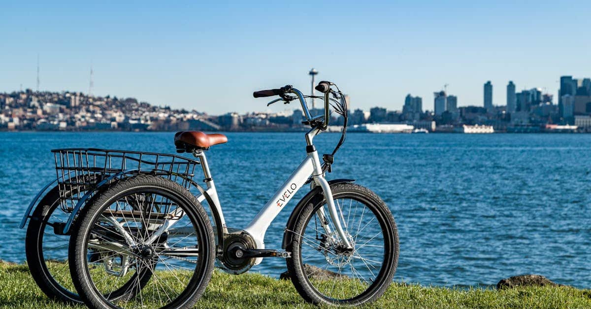 découvrez les avantages du vélo électrique pour vos trajets quotidiens et vos aventures en plein air. profitez d'une expérience de cyclisme confortable et écologique tout en réduisant votre empreinte carbone.