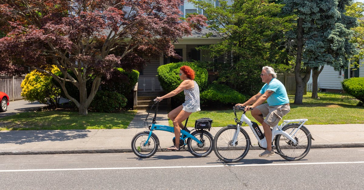 Descubra nuestra selección de bicicletas eléctricas, que combinan rendimiento y comodidad. Viaja por la ciudad o la naturaleza con estilo y facilidad gracias a nuestros modelos innovadores y eco-responsables.