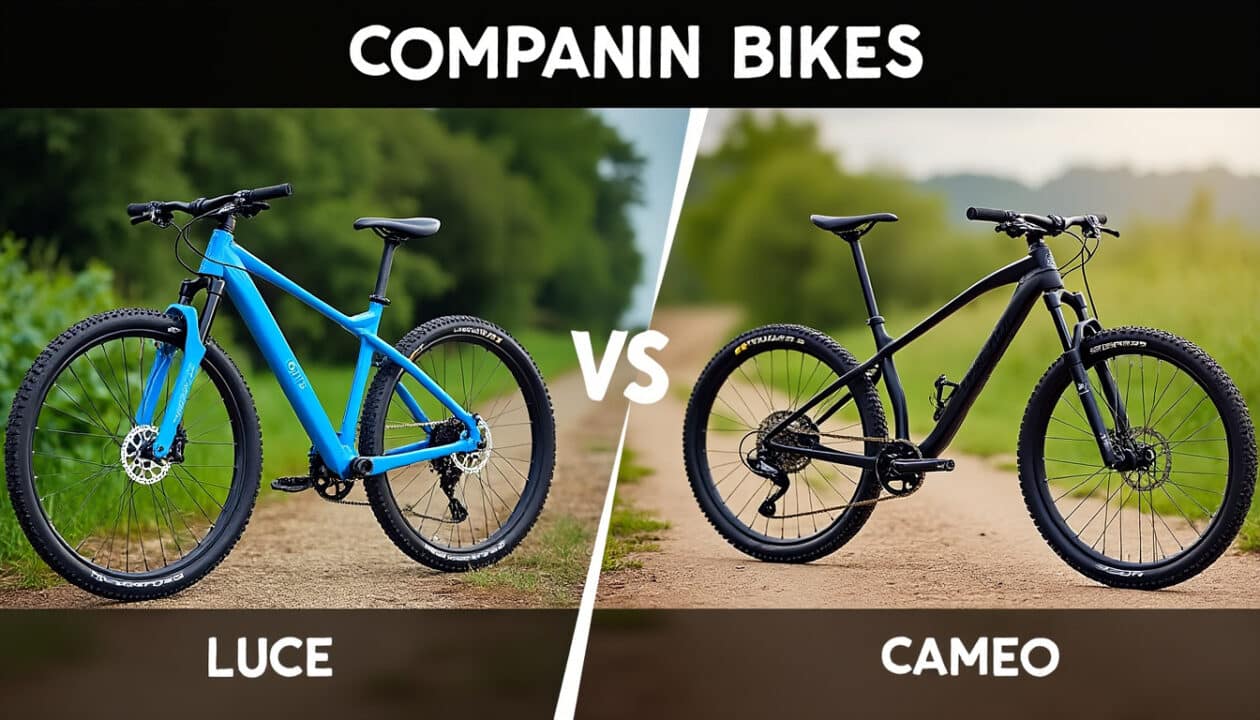 découvrez notre comparaison détaillée entre les vtt luce et cameo. idéal pour les débutants, ce guide vous aide à choisir le vélo qui répond le mieux à vos besoins en matière de performance, de confort et de prix.